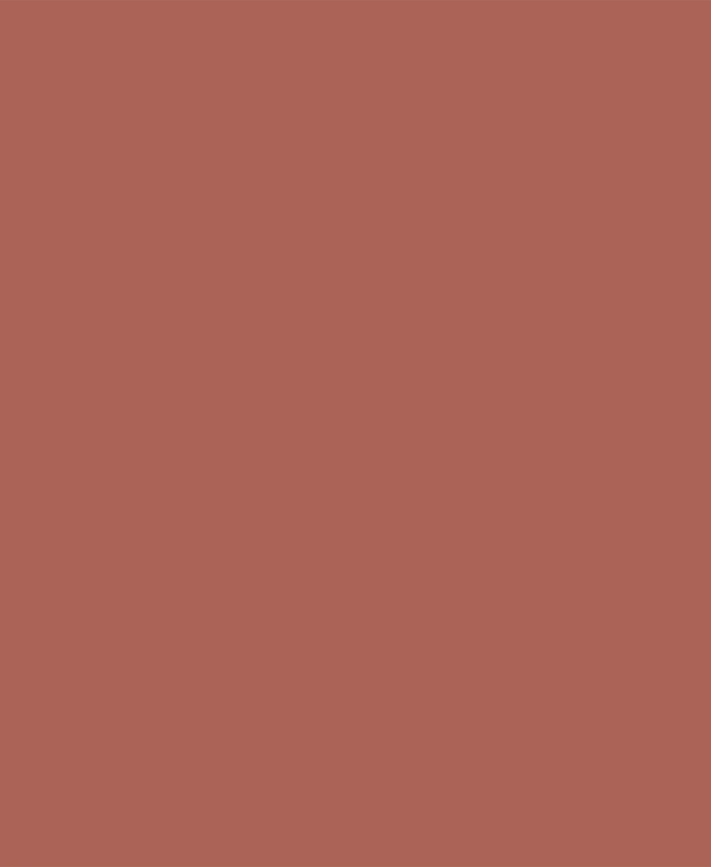 Chit Rosturi - Weber Color Design Cacao, 5 kg