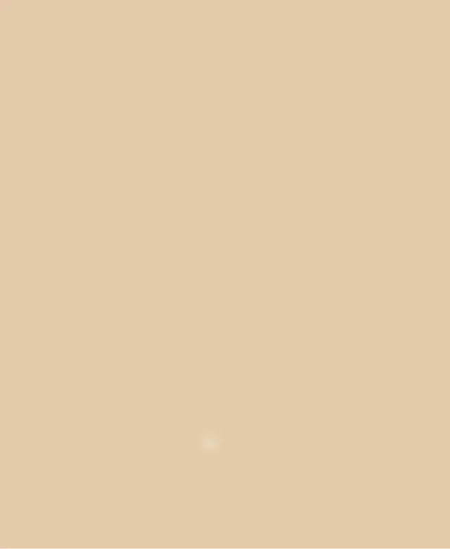 Chit rosturi - Multifill-Stone, 16 LIGHT OCHRE, 25 kg