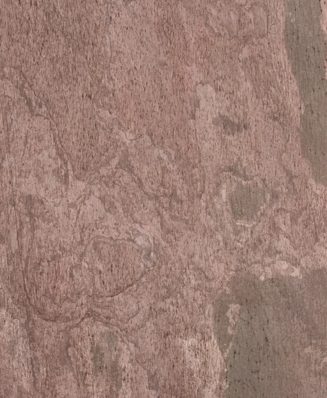 ARDF-5168
