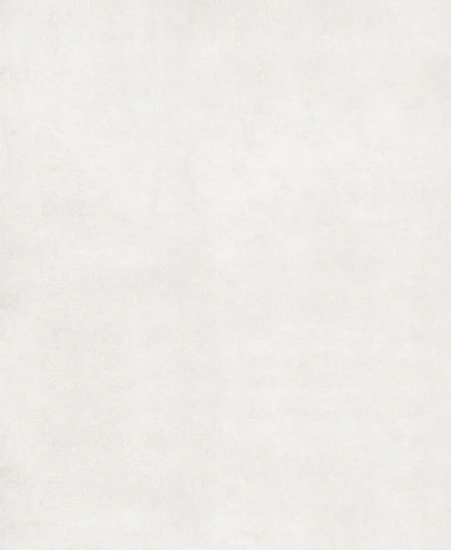 Piatra Sinterizata L'ALTRA PIETRA Porcea Aura White, 60 X 120 X 2 cm, R11 - Antiderapanta pt exterior