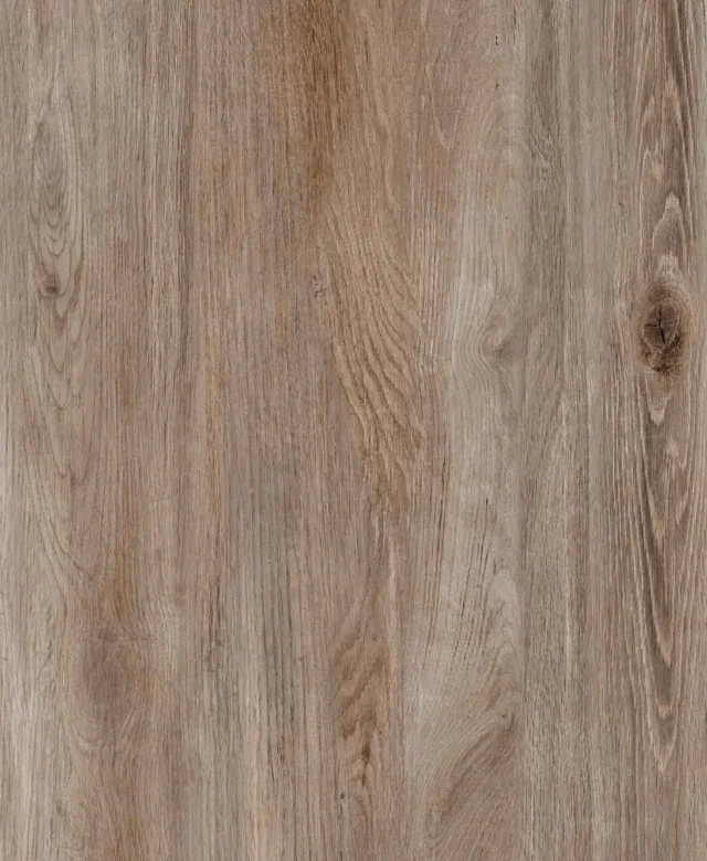 Piatra Sinterizata L'ALTRA PIETRA Selva Tongass, 40 X 120 X 2, R11 - Antiderapanta pt exterior