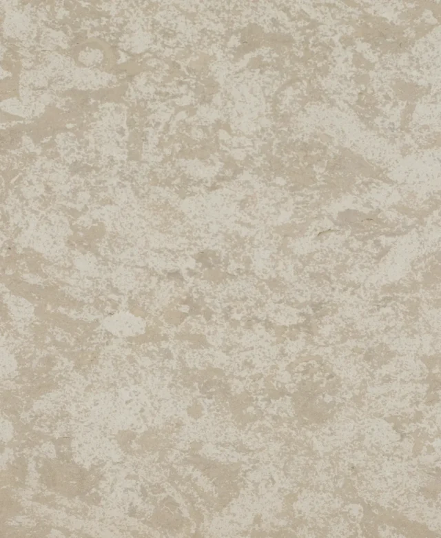 Limestone Vratza Beige Periata, 60 x 30 x 1.2 cm